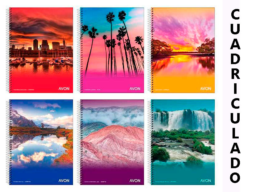 103122-CUADERNO 16X21 AVON 46HC ESPIRAL CUADRICULA