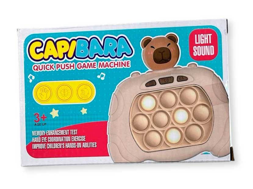 POP IT CAPIBARA CAJA