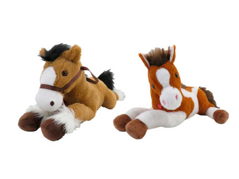 615554-21-CABALLO 21