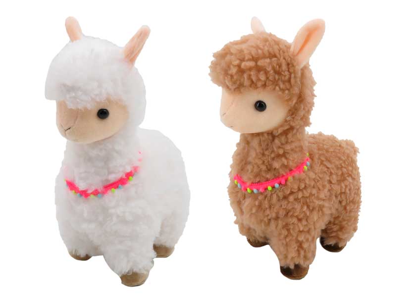 830429-12 LLAMA 12